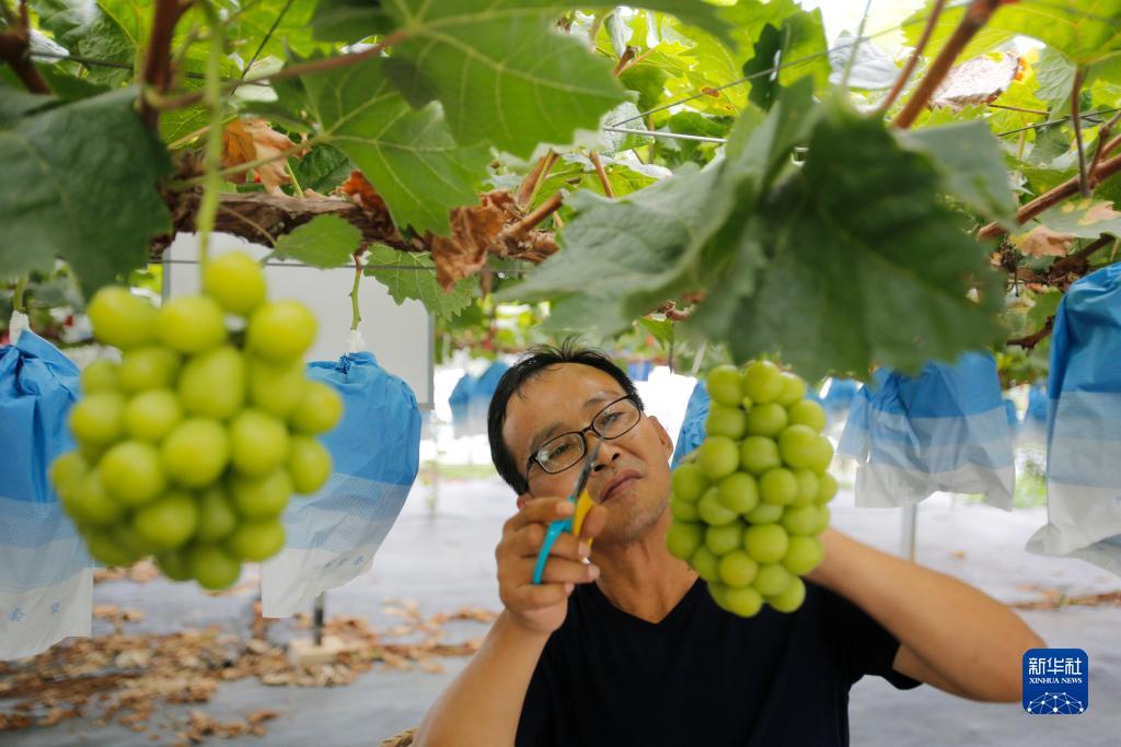 亚盛国际平台登陆